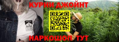 МДПВ Новодвинск