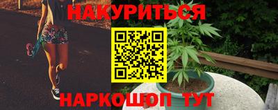 МДПВ Новодвинск